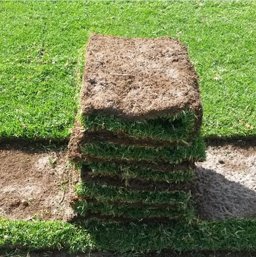 Kikuyu Grass Roll On Lawn Cape Town